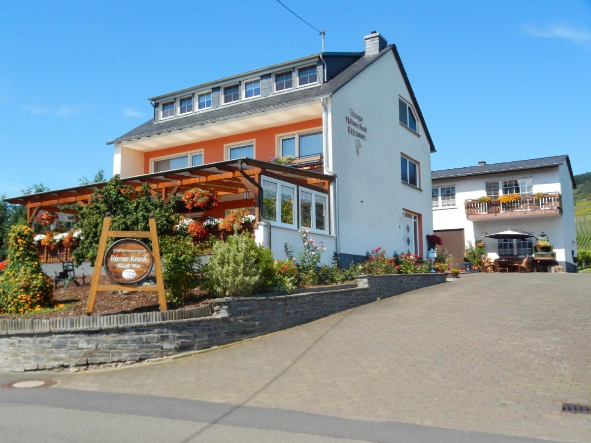 Ferienweinhaus Roemer-Knodt Креф Экстерьер фото